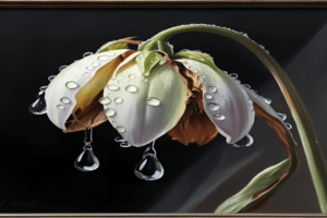 Tears on a Withered Flower